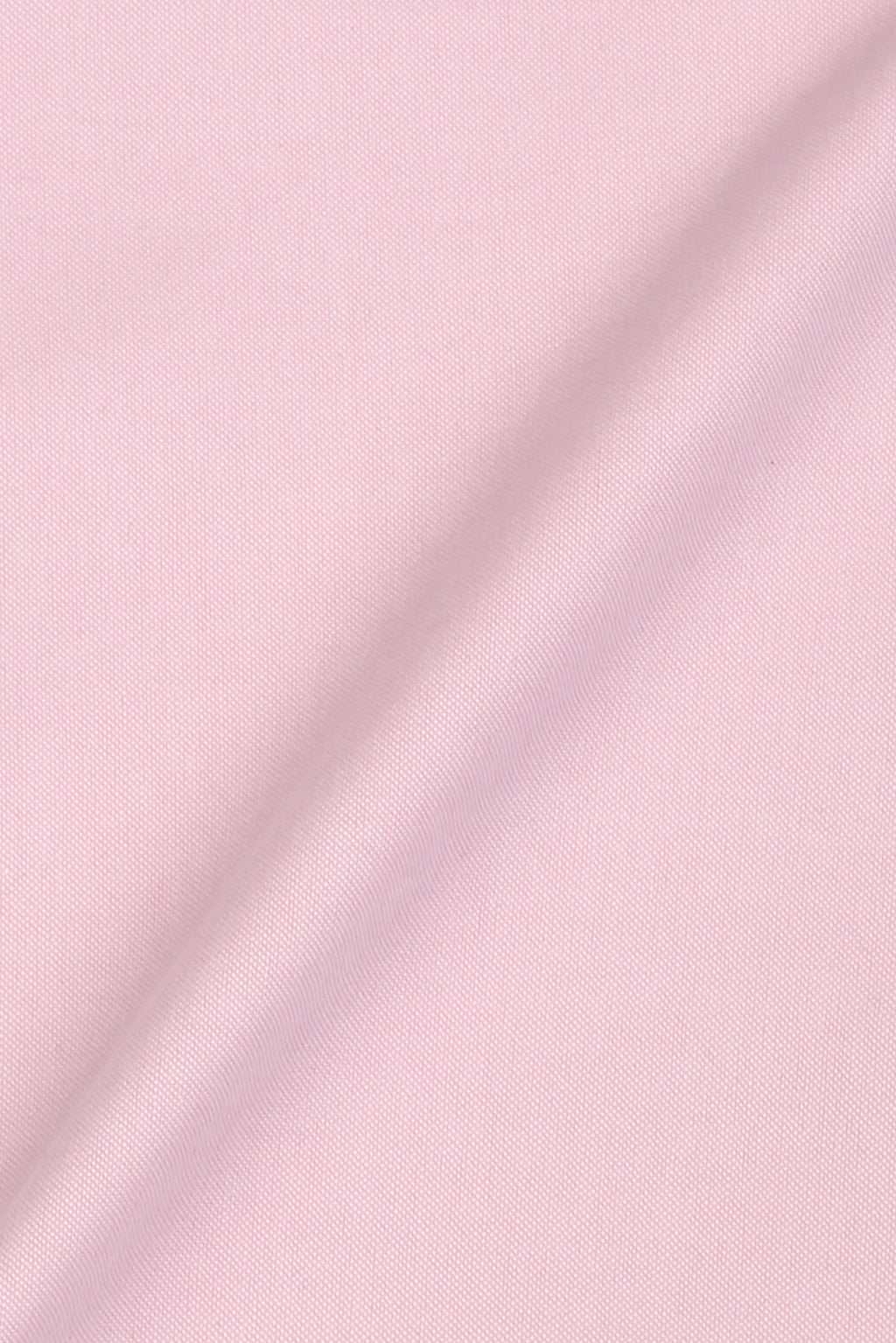 Crisp Pink Oxford