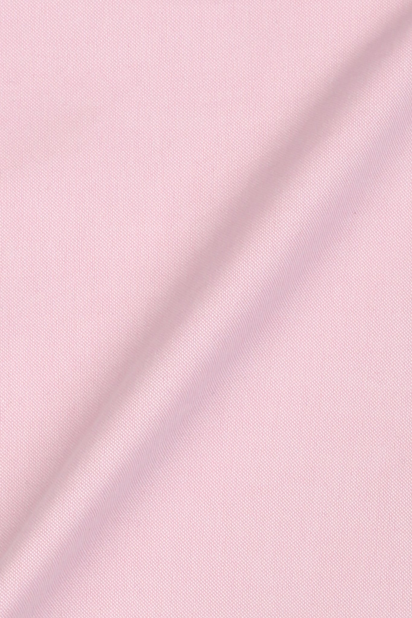Crisp Pink Oxford