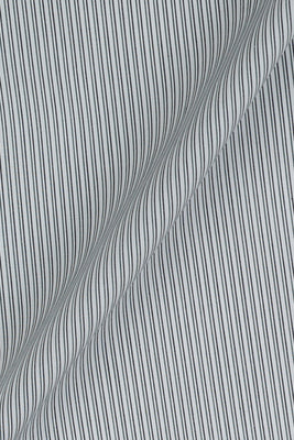 Charcoal Green Pencil Supima Cotton Stripes